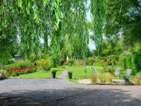 Cléome, Arques-La-Bataille